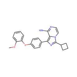 COc1ccccc1Oc1ccc(-c2nc(C3CCC3)n3ccnc(N)c23)cc1 ZINC000096168224