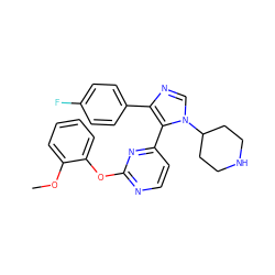 COc1ccccc1Oc1nccc(-c2c(-c3ccc(F)cc3)ncn2C2CCNCC2)n1 ZINC000034753280