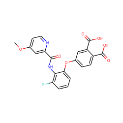 COc1ccnc(C(=O)Nc2c(F)cccc2Oc2ccc(C(=O)O)c(C(=O)O)c2)c1 ZINC000013587611