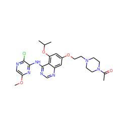 COc1cnc(Cl)c(Nc2ncnc3cc(OCCN4CCN(C(C)=O)CC4)cc(OC(C)C)c23)n1 ZINC000028530398