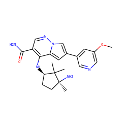 COc1cncc(-c2cc3c(N[C@@H]4CC[C@](C)(N)C4(C)C)c(C(N)=O)cnn3c2)c1 ZINC000169710837