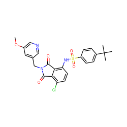 COc1cncc(CN2C(=O)c3c(Cl)ccc(NS(=O)(=O)c4ccc(C(C)(C)C)cc4)c3C2=O)c1 ZINC000653853303