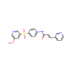 COc1cncc(S(=O)(=O)c2ccc(NC(=O)/C=C/c3cccnc3)cc2)c1 ZINC000142227624