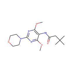 COc1nc(N2CCOCC2)nc(OC)c1NC(=O)CC(C)(C)C ZINC000473112065