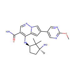 COc1ncc(-c2cc3c(N[C@@H]4CC[C@](C)(N)C4(C)C)c(C(N)=O)cnn3c2)cn1 ZINC000169710836