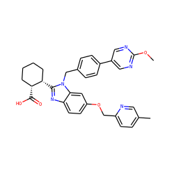 COc1ncc(-c2ccc(Cn3c([C@H]4CCCC[C@H]4C(=O)O)nc4ccc(OCc5ccc(C)cn5)cc43)cc2)cn1 ZINC000218198450