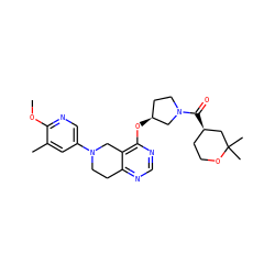 COc1ncc(N2CCc3ncnc(O[C@H]4CCN(C(=O)[C@@H]5CCOC(C)(C)C5)C4)c3C2)cc1C ZINC000113567433