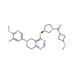 COc1ncc(N2CCc3ncnc(O[C@H]4CCN(C(=O)C5CC(OC)C5)C4)c3C2)cc1C ZINC000113567012