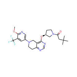 COc1ncc(N2CCc3ncnc(O[C@H]4CCN(C(=O)CC(C)(C)C)C4)c3C2)cc1C(F)(F)F ZINC000113568242