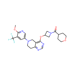 COc1ncc(N2CCc3ncnc(OC4CN(C(=O)C5CCOCC5)C4)c3C2)cc1C(F)(F)F ZINC000113568946