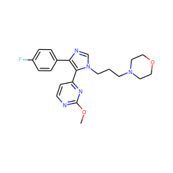 COc1nccc(-c2c(-c3ccc(F)cc3)ncn2CCCN2CCOCC2)n1 ZINC000021289897