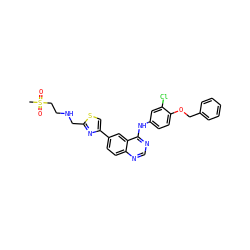 CS(=O)(=O)CCNCc1nc(-c2ccc3ncnc(Nc4ccc(OCc5ccccc5)c(Cl)c4)c3c2)cs1 ZINC000014945047