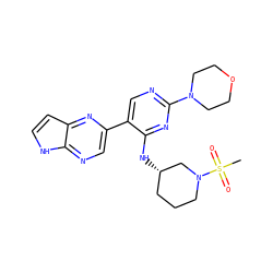 CS(=O)(=O)N1CCC[C@H](Nc2nc(N3CCOCC3)ncc2-c2cnc3[nH]ccc3n2)C1 ZINC000169002293