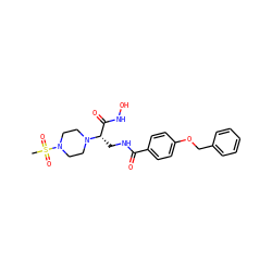 CS(=O)(=O)N1CCN([C@@H](CNC(=O)c2ccc(OCc3ccccc3)cc2)C(=O)NO)CC1 ZINC000116375418