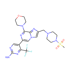 CS(=O)(=O)N1CCN(Cc2cn3cc(-c4cnc(N)nc4C(F)(F)F)nc(N4CCOCC4)c3n2)CC1 ZINC000084740906