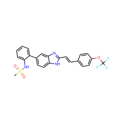 CS(=O)(=O)Nc1ccccc1-c1ccc2[nH]c(/C=C/c3ccc(OC(F)(F)F)cc3)nc2c1 ZINC000117153703