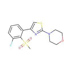 CS(=O)(=O)c1c(F)cccc1-c1csc(N2CCOCC2)n1 ZINC000299834465