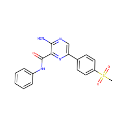 CS(=O)(=O)c1ccc(-c2cnc(N)c(C(=O)Nc3ccccc3)n2)cc1 ZINC000068244543