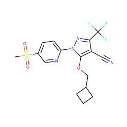 CS(=O)(=O)c1ccc(-n2nc(C(F)(F)F)c(C#N)c2OCC2CCC2)nc1 ZINC000028570051