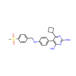 CS(=O)(=O)c1ccc(CNc2ccc(-c3c(N)nc(N)nc3C3CCC3)cc2)cc1 ZINC000038156544