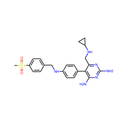 CS(=O)(=O)c1ccc(CNc2ccc(-c3c(N)nc(N)nc3CNC3CC3)cc2)cc1 ZINC000036349160