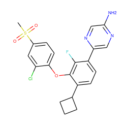 CS(=O)(=O)c1ccc(Oc2c(C3CCC3)ccc(-c3cnc(N)cn3)c2F)c(Cl)c1 ZINC000224556745