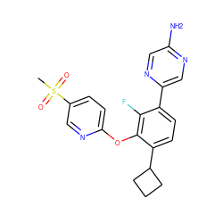 CS(=O)(=O)c1ccc(Oc2c(C3CCC3)ccc(-c3cnc(N)cn3)c2F)nc1 ZINC000224588488