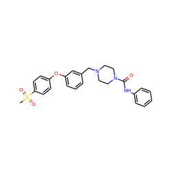 CS(=O)(=O)c1ccc(Oc2cccc(CN3CCN(C(=O)Nc4ccccc4)CC3)c2)cc1 ZINC000200260835