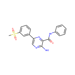 CS(=O)(=O)c1cccc(-c2cnc(N)c(C(=O)Nc3ccccc3)n2)c1 ZINC000071317225