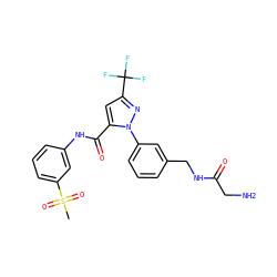 CS(=O)(=O)c1cccc(NC(=O)c2cc(C(F)(F)F)nn2-c2cccc(CNC(=O)CN)c2)c1 ZINC000040915980