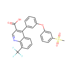 CS(=O)(=O)c1cccc(Oc2cccc(-c3c(C(=O)O)cnc4c(C(F)(F)F)cccc34)c2)c1 ZINC000045339175