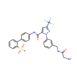 CS(=O)(=O)c1ccccc1-c1ccc(NC(=O)c2cc(C(F)(F)F)nn2-c2cccc(CNC(=O)CN)c2)cc1 ZINC000042875838