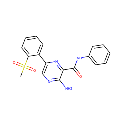 CS(=O)(=O)c1ccccc1-c1cnc(N)c(C(=O)Nc2ccccc2)n1 ZINC000071316274