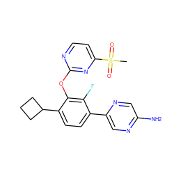 CS(=O)(=O)c1ccnc(Oc2c(C3CCC3)ccc(-c3cnc(N)cn3)c2F)n1 ZINC000224555816