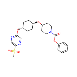 CS(=O)(=O)c1cnc(O[C@H]2CC[C@H](OC3CCN(C(=O)Oc4ccccc4)CC3)CC2)cn1 ZINC000473104982