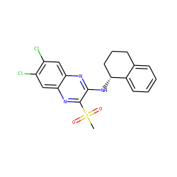 CS(=O)(=O)c1nc2cc(Cl)c(Cl)cc2nc1N[C@@H]1CCCc2ccccc21 ZINC000028951026