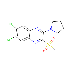 CS(=O)(=O)c1nc2cc(Cl)c(Cl)cc2nc1N1CCCC1 ZINC000028951074