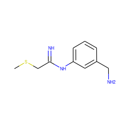 CSCC(=N)Nc1cccc(CN)c1 ZINC000013780455