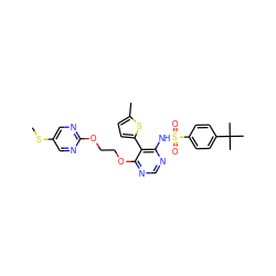 CSc1cnc(OCCOc2ncnc(NS(=O)(=O)c3ccc(C(C)(C)C)cc3)c2-c2ccc(C)s2)nc1 ZINC000002004403