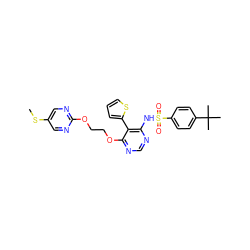 CSc1cnc(OCCOc2ncnc(NS(=O)(=O)c3ccc(C(C)(C)C)cc3)c2-c2cccs2)nc1 ZINC000002004398