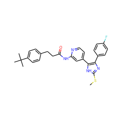 CSc1nc(-c2ccc(F)cc2)c(-c2ccnc(NC(=O)CCc3ccc(C(C)(C)C)cc3)c2)[nH]1 ZINC000064503566