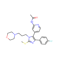 CSc1nc(-c2ccc(F)cc2)c(-c2ccnc(NC(C)=O)c2)n1CCCN1CCOCC1 ZINC000013586235