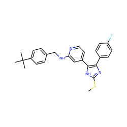 CSc1nc(-c2ccc(F)cc2)c(-c2ccnc(NCc3ccc(C(C)(C)C)cc3)c2)[nH]1 ZINC000040936083