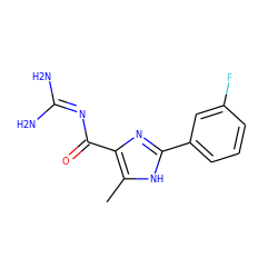 Cc1[nH]c(-c2cccc(F)c2)nc1C(=O)N=C(N)N ZINC000040829063