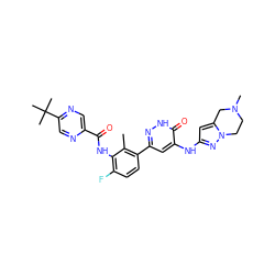 Cc1c(-c2cc(Nc3cc4n(n3)CCN(C)C4)c(=O)[nH]n2)ccc(F)c1NC(=O)c1cnc(C(C)(C)C)cn1 ZINC000145893521