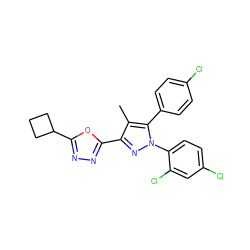 Cc1c(-c2nnc(C3CCC3)o2)nn(-c2ccc(Cl)cc2Cl)c1-c1ccc(Cl)cc1 ZINC000042888285