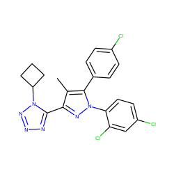 Cc1c(-c2nnnn2C2CCC2)nn(-c2ccc(Cl)cc2Cl)c1-c1ccc(Cl)cc1 ZINC000029124813