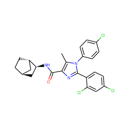 Cc1c(C(=O)N[C@H]2C[C@H]3CC[C@H]2C3)nc(-c2ccc(Cl)cc2Cl)n1-c1ccc(Cl)cc1 ZINC000253637873