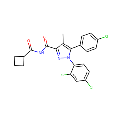 Cc1c(C(=O)NC(=O)C2CCC2)nn(-c2ccc(Cl)cc2Cl)c1-c1ccc(Cl)cc1 ZINC000045484541