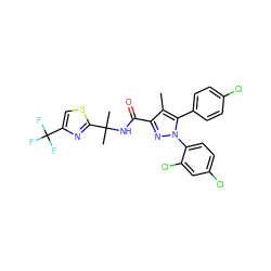 Cc1c(C(=O)NC(C)(C)c2nc(C(F)(F)F)cs2)nn(-c2ccc(Cl)cc2Cl)c1-c1ccc(Cl)cc1 ZINC000072112255